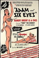 绽放的开心电视剧免费观看视频全集高清