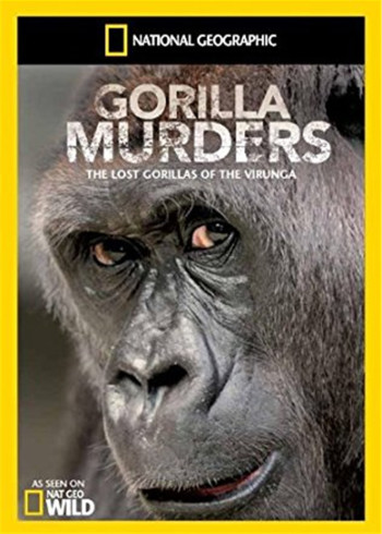 缤纷玩具城:过家家新奇趣味亲子玩具